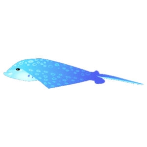 Aqua Eagle Ray